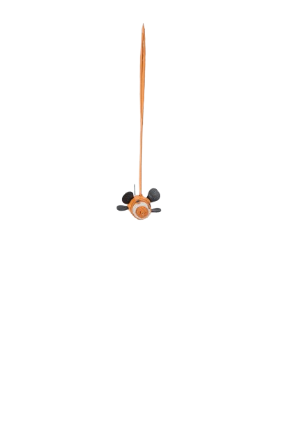 Charm Peixe