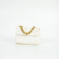 Pirarucu P Albino Bag