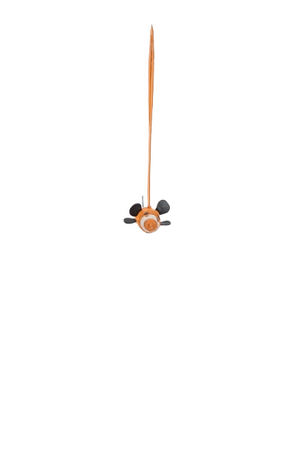 Charm Peixe